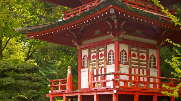 japanese-tea-garden-22414