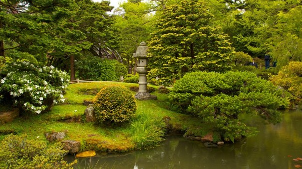 japanese-tea-garden-22423