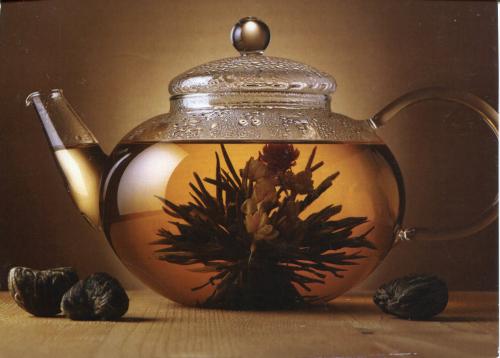 10fc1fbdb42b7346b14561856565abdd