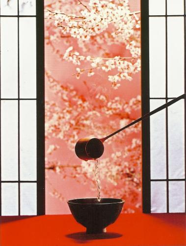 c13452eec60617841f8bce9a0f2c16d9