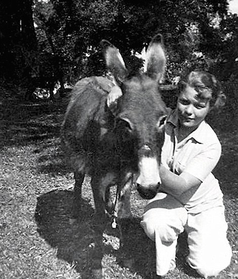 3287FEDC00000578-0-image-m-76_1458923509165