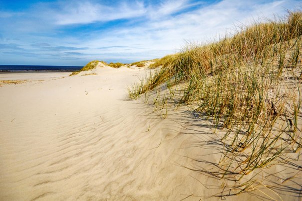 ameland-island-and-beach-sand-dunes-with-north-sea-in-the-background